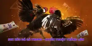 Soi Kèo Đá Gà Thomo